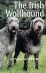 Irish Wolfhound - World of Dogs - Linda Gover