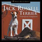Jack Russell Terrier Courageous Companion