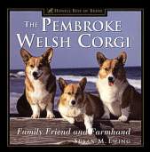 Pembroke Welsh Corgi Family Friend