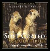 Soft Coated Wheaten Terrier Coat of Honey