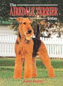 Airedale Terrier Today BOB
