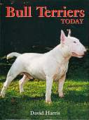 Bull Terriers Today BOB