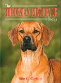 Rhodesian Ridgeback Today BOB