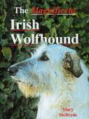 Irish Wolfhounds Magnificent out of stock