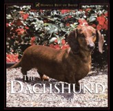 Dachshund A Dog for Town & Country