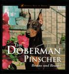 Doberman Pinscher Brains & Beauty