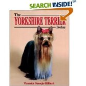Yorkshire Terriers Today BOB