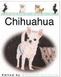 Chihuahua Living With A