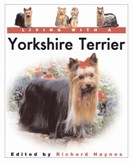 Yorkshire Terrier Living With A