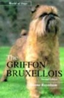 Griffon Bruxellois - Raynham