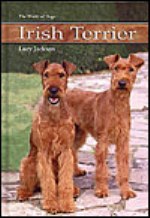 Irish Terrier - L Jackson
