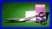 Jaguar Scissors 8.5 Silver Ice (Germany)