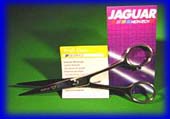 Jaguar Scissors 6.5 Silver Ice (Germany)