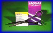 Jaguar Scissors 6.00 Silver Ice (Germany)