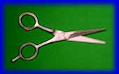 Soligen Shears 5.5 inches ( Germany)