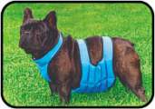 Body Cooler Pet Wrap XS