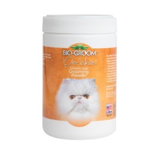 Powder