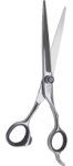 DMI 6.5