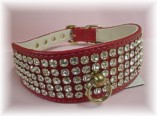 Jewelled Collar (Swank)