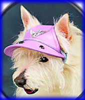 Designer Type Pet Cap - Biker Babe (Pink)