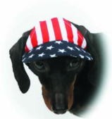 Designer Type Pet Cap - Stars and Stripes