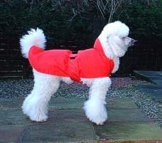 Wrap Over Style Dog Coat