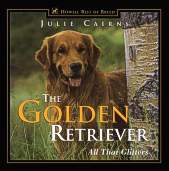 Golden Retriever All That Glitters