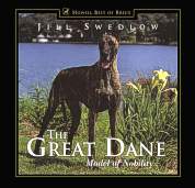 Great Dane Model Of Nobility