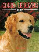 Golden Retrievers Today BOB