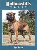 Bullmastiffs Today BOB