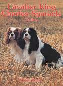 Cavalier King Charles Spaniels Today BOB