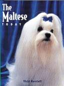 Maltese Today BOB