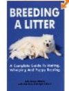 Breeding A Litter out of stock 