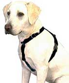 Ferplast Easy Adjustable Harness Large