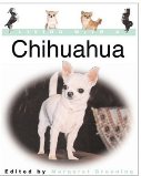 Chihuahua Living With A