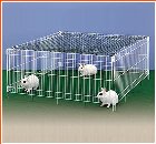 Ferplast Rabbit or Small Animal Play Pen