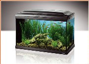 Ferplast Aquarium Cayman 60. Black SPECIAL OFFER