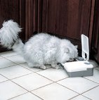 Petsafe 2 Meal Pet Feeder 