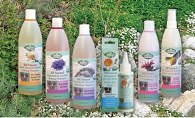 Pet Botanics Revitalizing Natural Shampoo 473ml