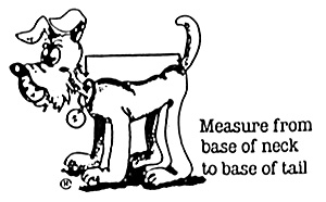 How to measure your Pet
