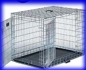Mid West Pet Home Fold and Carry 608DD