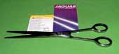Jaguar Scissors 7.5 Silver Ice (Germany)