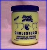 World of Curls - Cholesterol 20oz discontinued